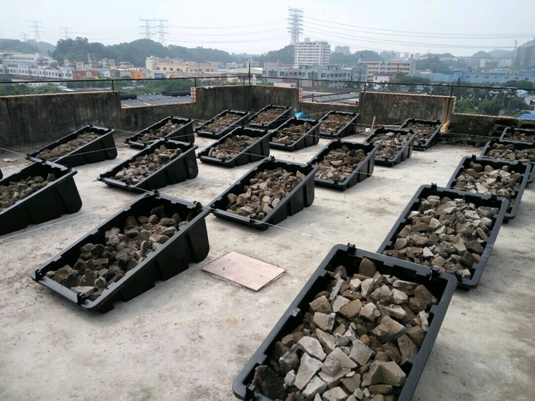 104.jpg