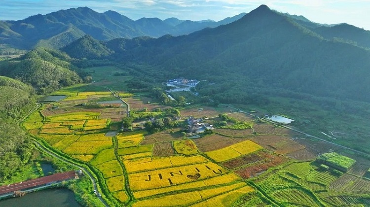 綠湖生物能源