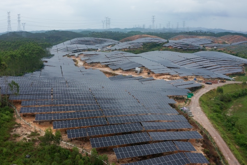 金雞鎮100MW農光互補發電項目